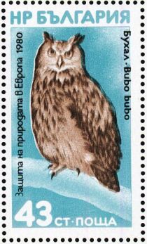 Eurasian Eagle-Owl (Bubo bubo)