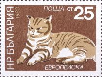 Domestic Cat (Felis silvestris catus)