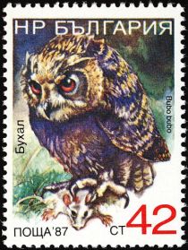 Eurasian Eagle-Owl (Bubo bubo)