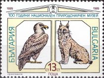 Bearded Vulture (Gypaetus barbatus), Eurasian Lynx (Lynx lyn