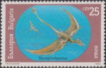 Rhamphorhynchus