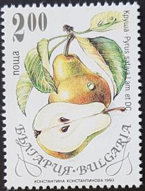 Pear (Pyrus sativa)