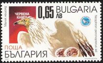 Egyptian Vulture (Neophron percnopterus)