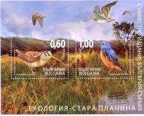 Eurasian Woodcock and Common Rock Thrush