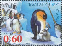 Penguins, Narwhal (Monodon monoceros)