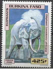 African Elephant (Loxodonta africana)