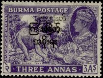 Asian Elephant (Elephas maximus) with Mahout - Overprinted