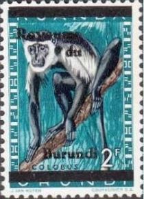 Mantled Guereza (Colobus guereza) - overprinted