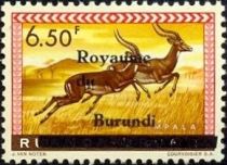 Impala (Aepyceros melampus) - overprinted