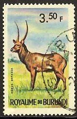 Defassa Waterbuck (Kobus defassa)