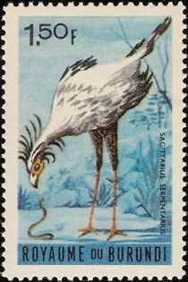 Secretarybird  (Sagittarius serpentarius)