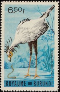 Secretarybird  (Sagittarius serpentarius)