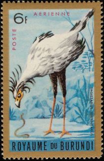 Secretarybird (Sagittarius serpentarius)