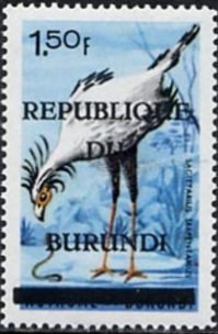 Secretarybird (Sagittarius serpentarius)