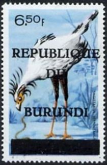 Secretarybird (Sagittarius serpentarius)