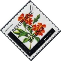 Crossandra