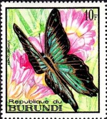 Broad Green-banded Swallowtail (Papilio bromius)