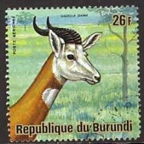 Dama Gazelle (Gazella dama)