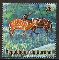 Sitatunga (Tragelaphus spekii)