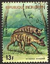 Striped Hyaena (Hyaena hyaena)