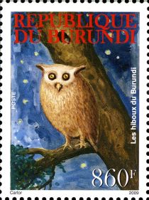 Owls of Burundi