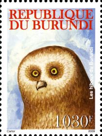 Owls of Burundi