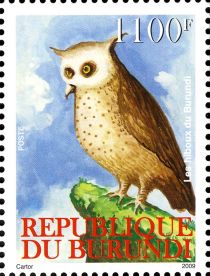 Owls of Burundi