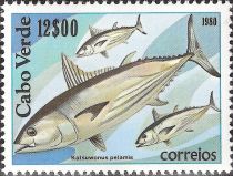 Skipjack Tuna (Katsuwonus pelamis)