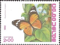 Danaid Eggfly (Hypolimnas misippus)