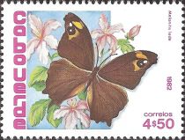 Common Evening Brown (Melanitis lede)