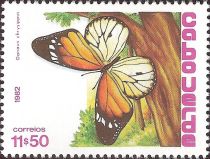 African Monarch (Danaus chrysippus)