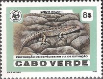 Vaillant's Mabuya (Mabuya vaillanti)