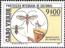 Insects (Chelonus maculatus), (Sericopimpla sericata)