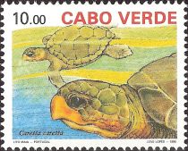 Loggerhead (Caretta caretta)