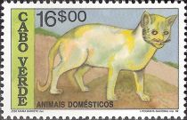 Domestic Cat (Felis silvestris catus)