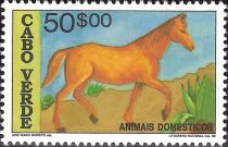 Horse (Equus ferus caballus)