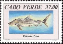 Whale Shark (Rhincodon typus)