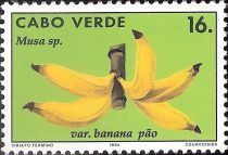 Bananas