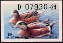 American wigeon (Anas americana)