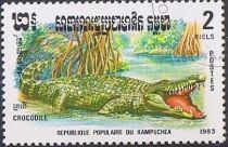 Siamese Crocodile (Crocodylus siamensis)