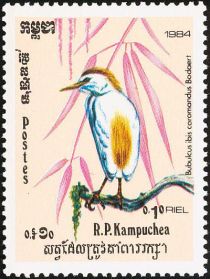 Eastern Cattle Egret (Bubulcus ibis coromandus)