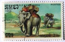 Asian Elephant (Elephas maximus) with Kornak and Howdah