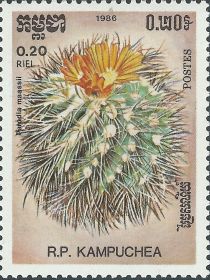 Parodia maassii