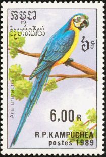 Blue-and-yellow Macaw (Ara ararauna)