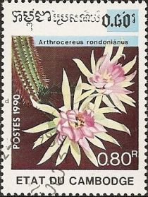 Arthrocereus rondoniánus