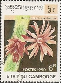 Hildewintera aureispina