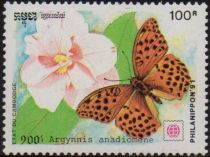 Fritillary Butterfly (Argynnis anadiomene)