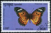 Indian Fritillary (Argyreus hyperbius)