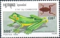 Wallace's Flying Frog (Rhacophorus nigropalmatus)