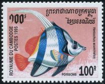 Pennant Coralfish (Heniochus acuminatus)